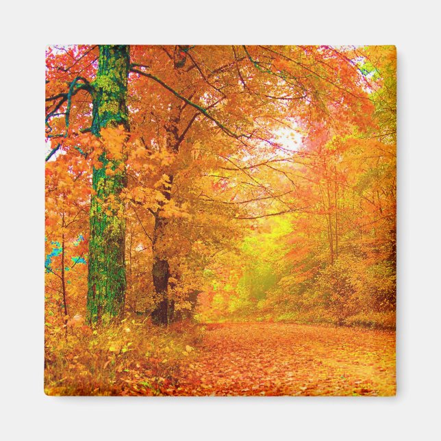 Vermont Autumn Nature Landscape Magnet (Front)