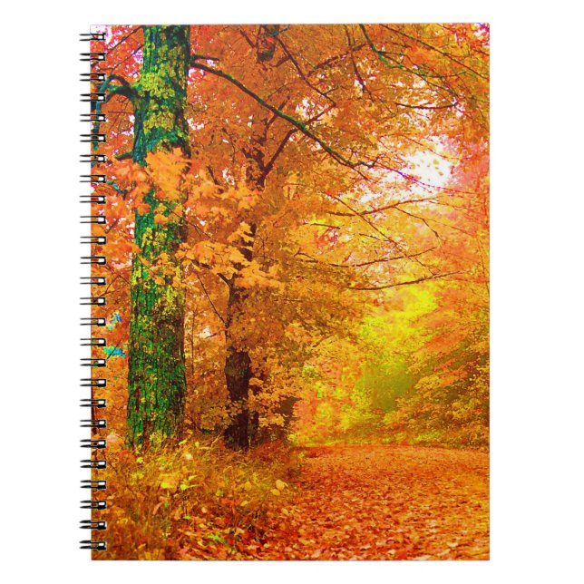 Vermont Autumn Nature Landscape Notebook (Front)