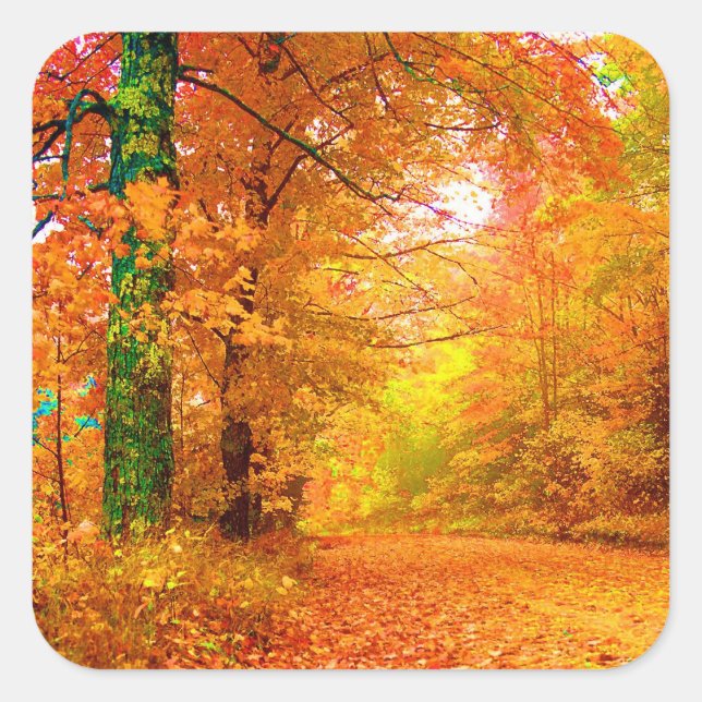 Vermont Autumn Nature Landscape Square Sticker (Front)