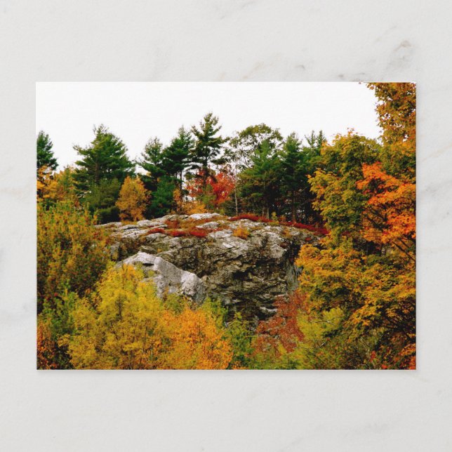 Vermont autumn postcard (Front)