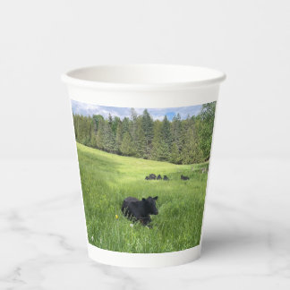 Vermont Black Cows, Paper cup