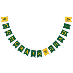 Vermont Catamounts Bunting Flags