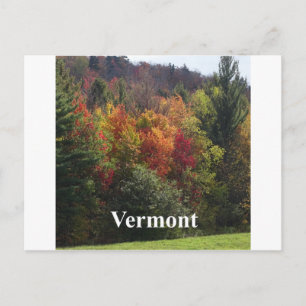 Vermont Color Postcard