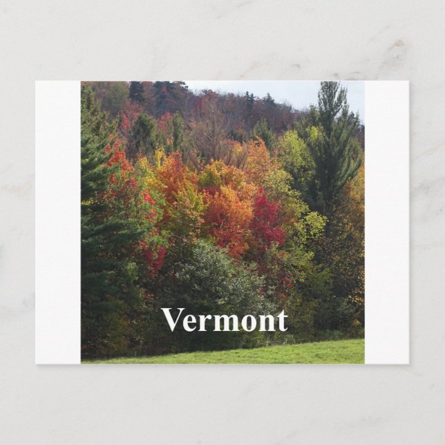 Vermont Color Postcard (Front)