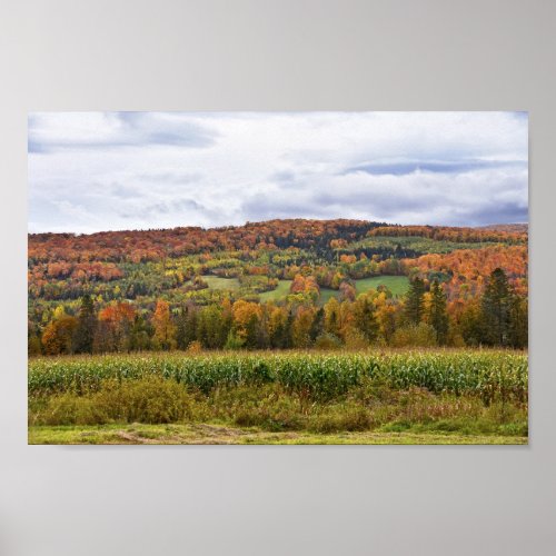 Vermont Corn Field in Autumn Poster