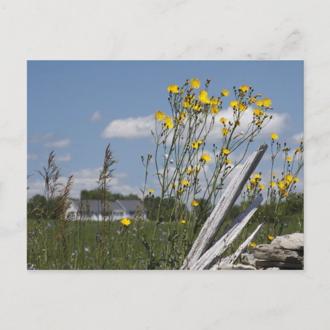 Vermont Country Living Postcard (Front)