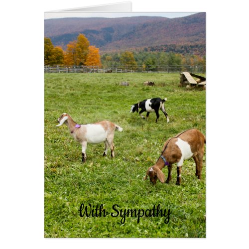 Vermont Goats Sympathy Card