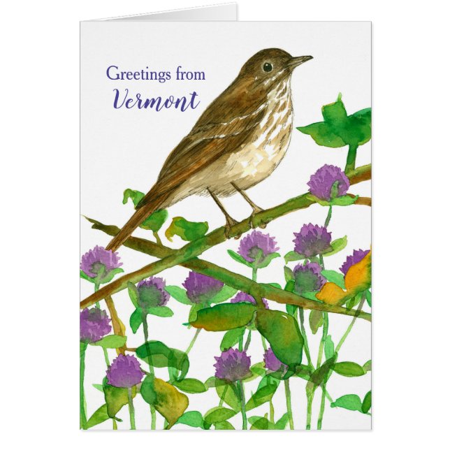 Vermont Hermit Thrush Clover Hello Friend Cards (Front)