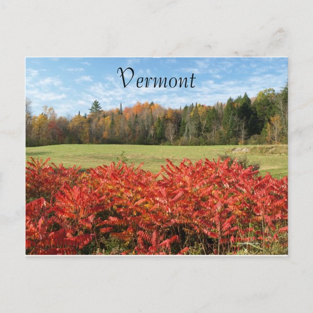 Vermont in Color Postcard (Front)