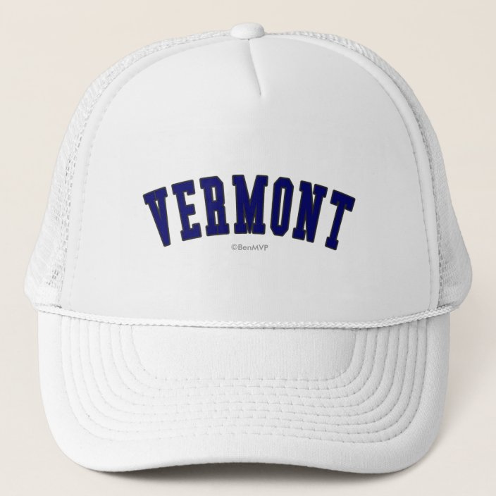 Vermont in state flag color Trucker Hat