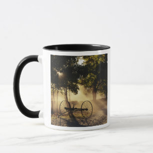 Vermont, Northeast Kingdom, Sunlight falling Mug
