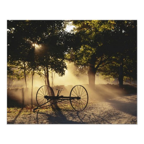 Vermont Northeast Kingdom Sunlight falling Photo Print