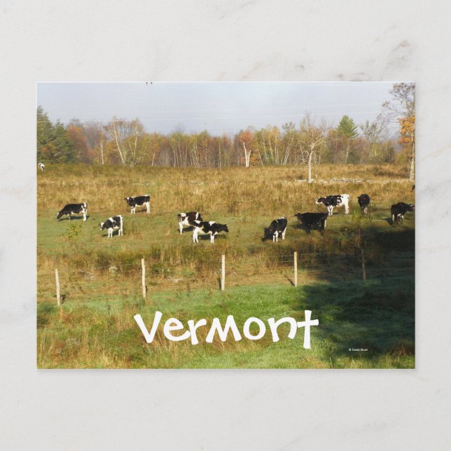 Vermont Postcard (Front)