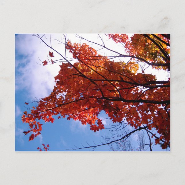 Vermont Postcard 1 (Front)