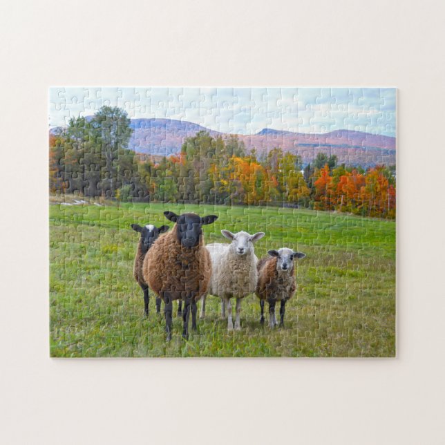 Vermont Sheep in Autumn Jigsaw Puzzle (Horizontal)