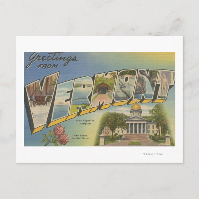 Vermont (State Capital/Flower) - Postcard (Front)