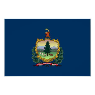 Vermont State Flag Poster