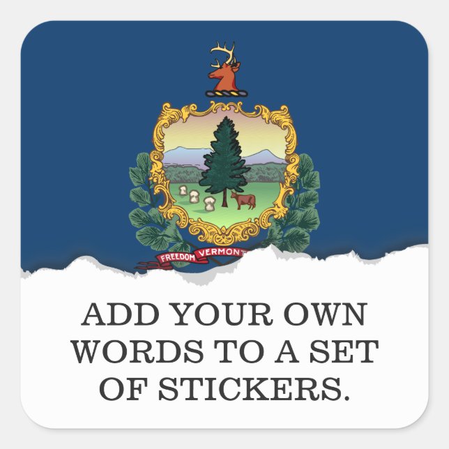 Vermont State Flag Square Sticker (Front)