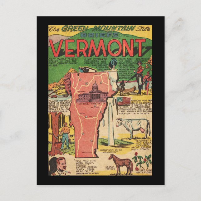 Vermont the Green Mountain State Postcard (Front)