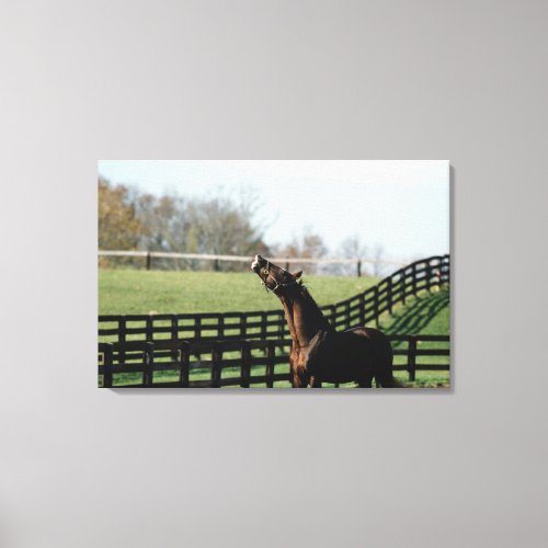 Vermont USA 2 Canvas Print