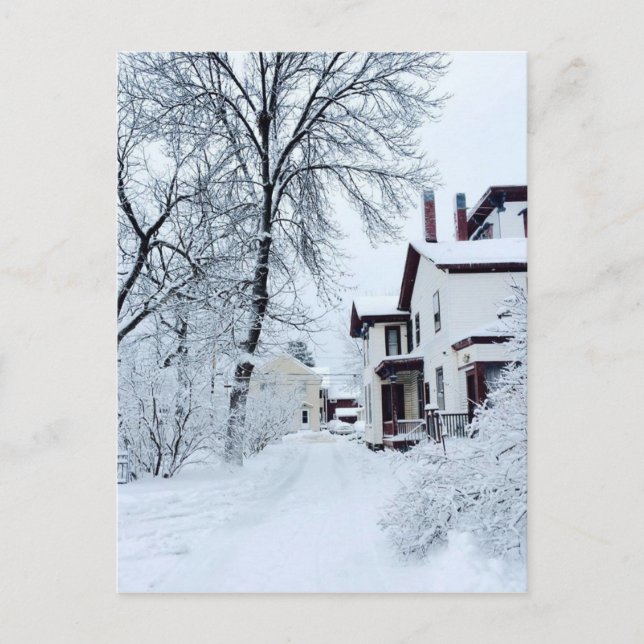 Vermont White Winter Postcard (Front)