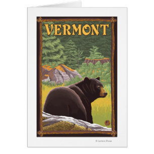 VermontBlack Bear in Forest
