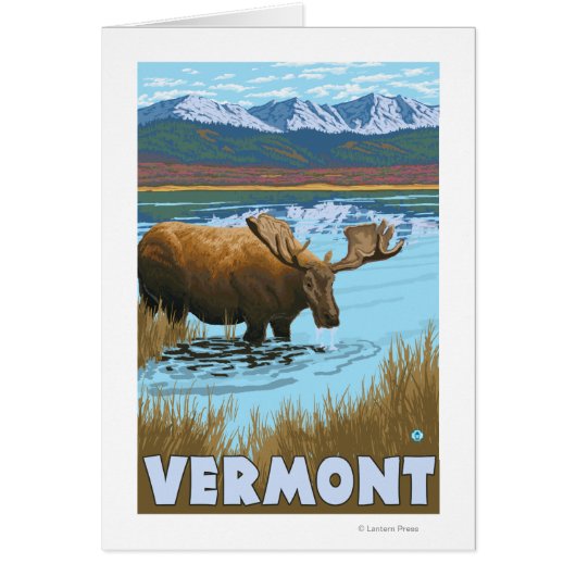 VermontMoose Drinking in Lake Cards (Front)