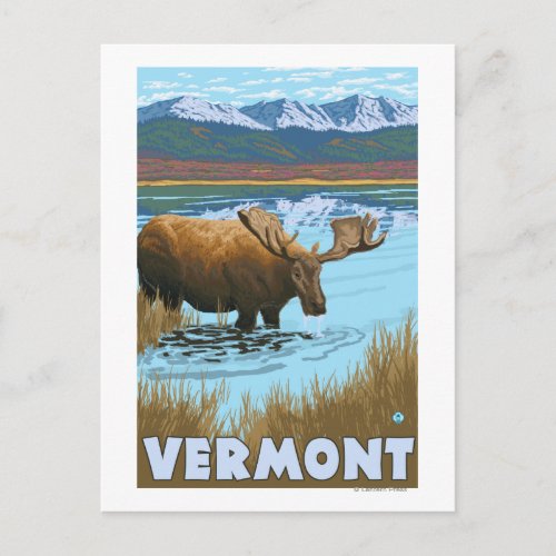 VermontMoose Drinking in Lake Postcard