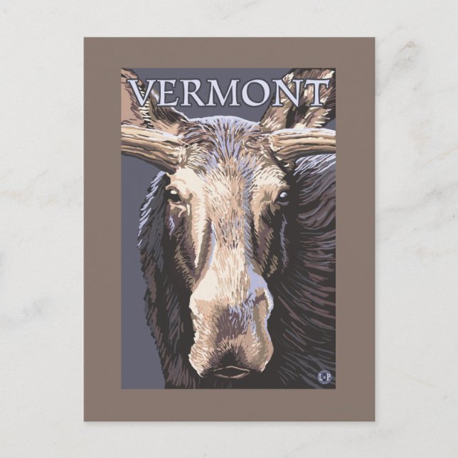 VermontMoose Up Close Postcard (Front)