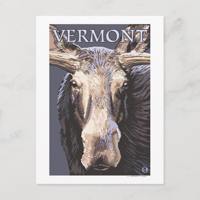 VermontMoose Up Close Postcard (Front)