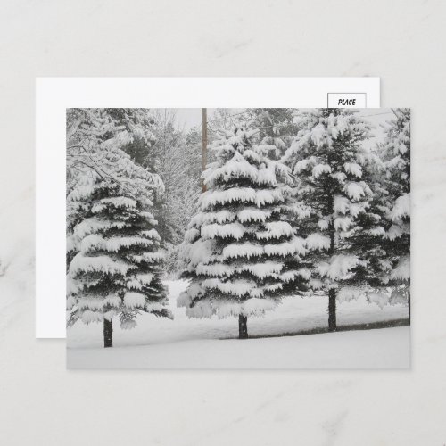 Vermonts Winter Wonderland in BW Postcard