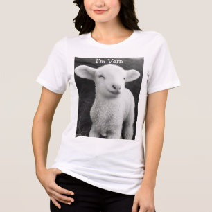 Vern The Viral Lamb Cozy Emotional Energy  Tri-Blend Shirt