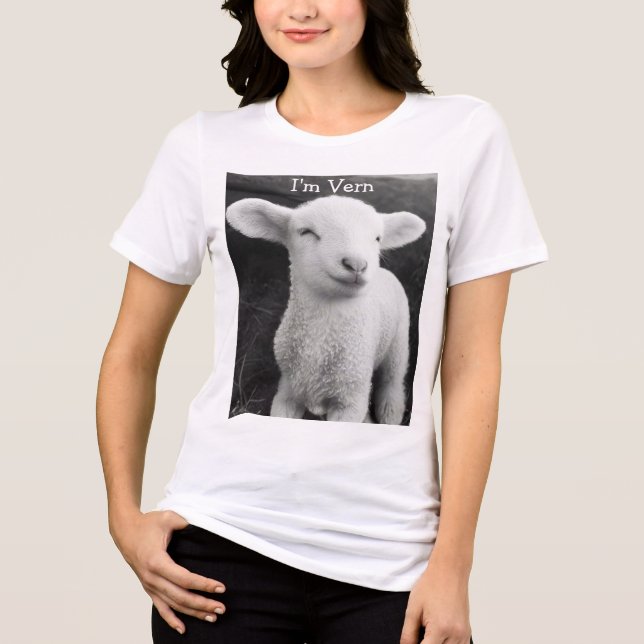 Vern The Viral Lamb Cozy Emotional Energy  Tri-Blend Shirt (Front)