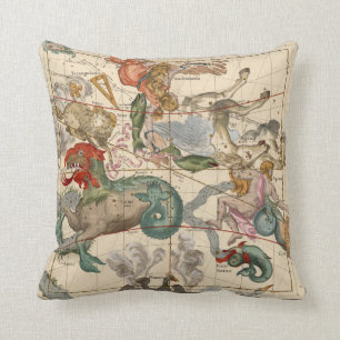 Vernal Equinox Throw Pillow