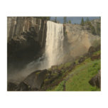Vernal Falls I in Yosemite National Park Wood Wall Art