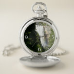 Vernal Falls II in Yosemite National Park Pocket Watch