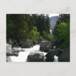 Vernal Falls in the Distance at Yosemite Postcard