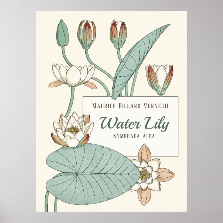 Verneuil Water lily Decorative Art Nouveau flowers Poster