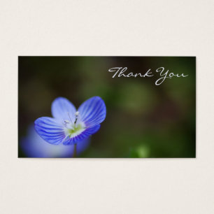Veronica macro thank you card