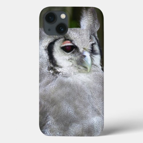 Verreauxs Eagle_Owl Bubo Lacteus Gauteng iPhone 13 Case