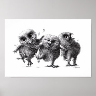 Verrückte Eulen - Crazy Owls Poster