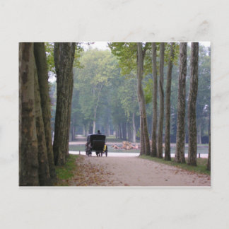 Versailles buggy 1 postcard