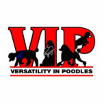 Versatility In Poodles Cutout at Zazzle