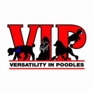 Versatility in Poodles Cutout