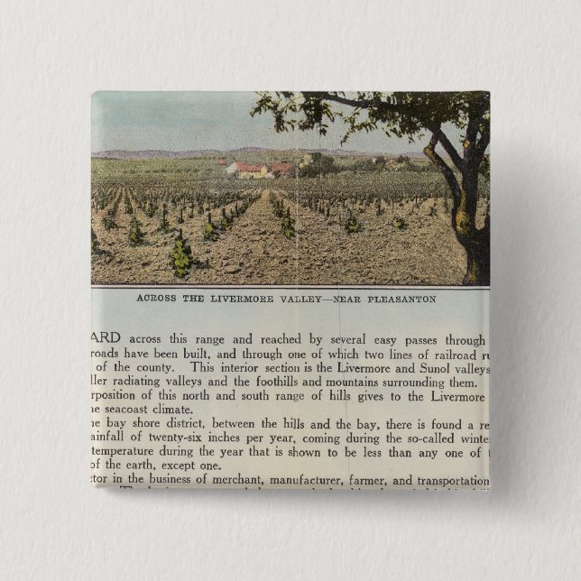 Verso Alameda County Pinback Button (Front)