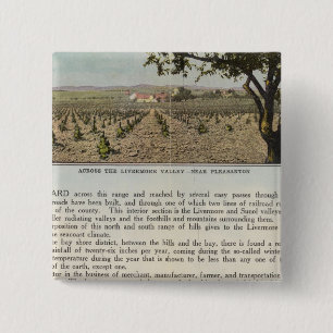 Verso Alameda County Pinback Button