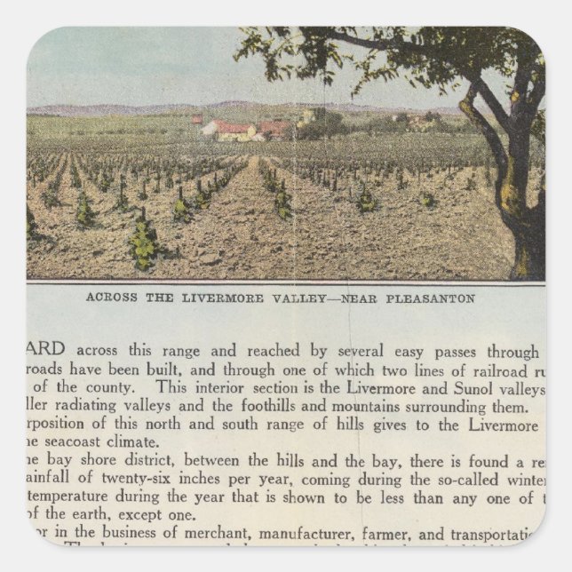 Verso Alameda County Square Sticker (Front)