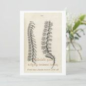 Vertebrae Drawing (Standing Front)