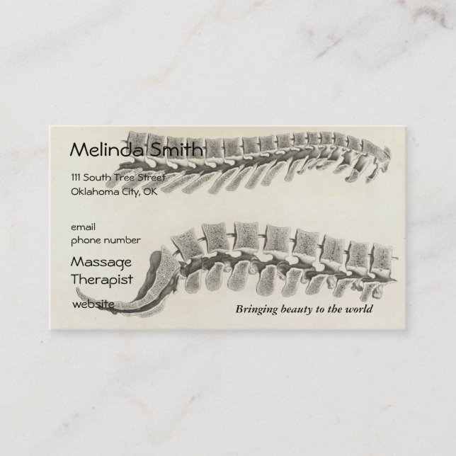 Vertebrae Drawing Business Card (Front)