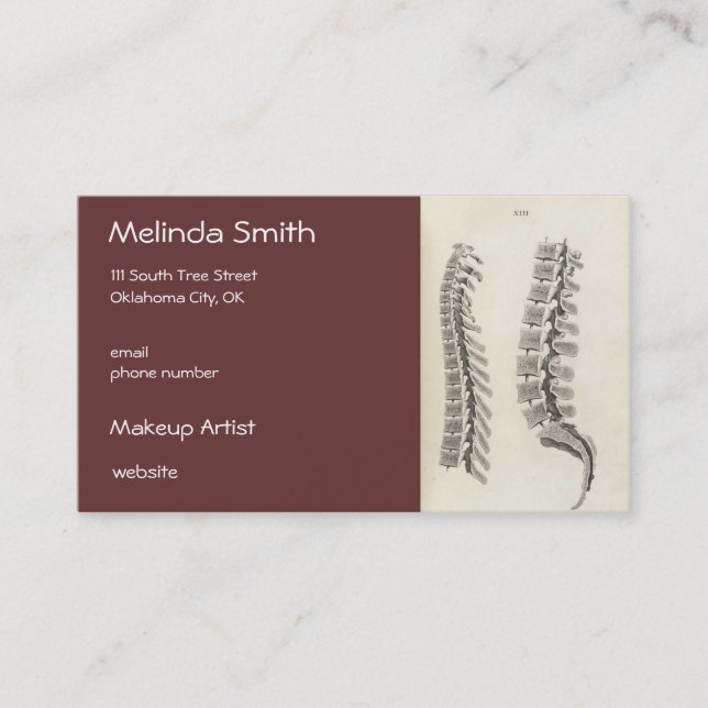Vertebrae Drawing Business Card (Front)